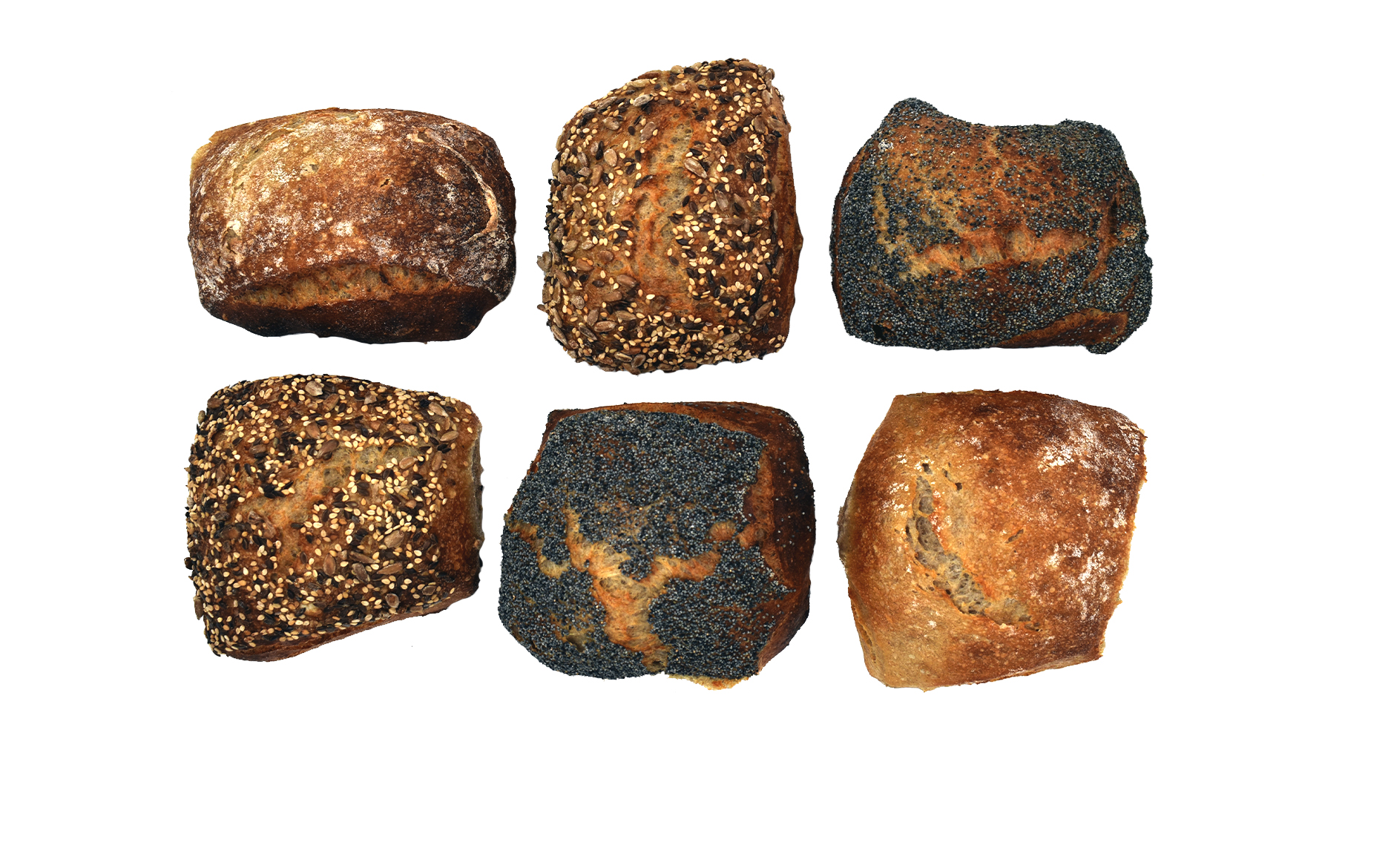 Skagen Boller, 24 stk., Skagen Boller, 24 stk.