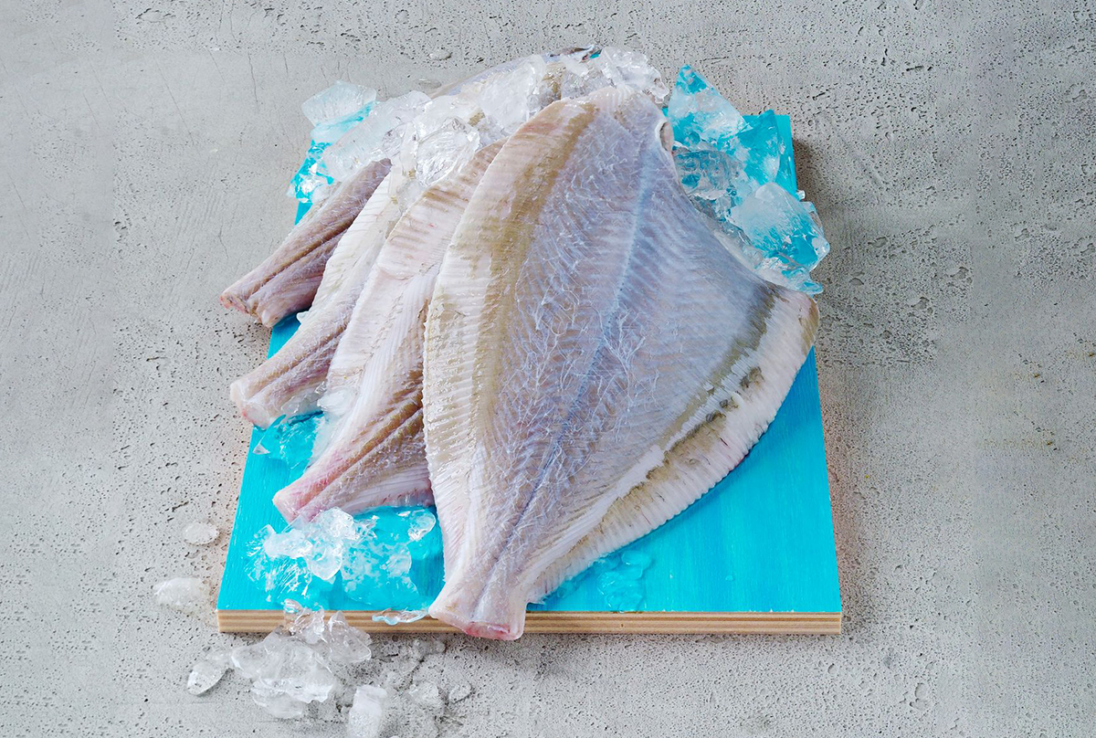 Hele rødspætter, Hele rødspætter