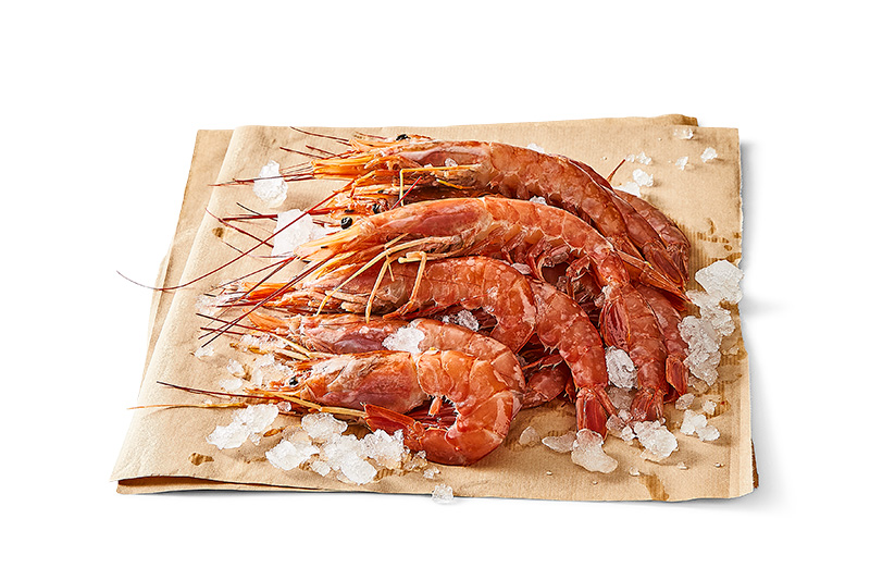 Gambas rejer, Gambas rejer