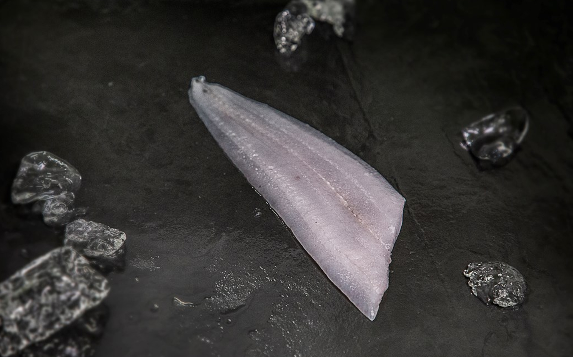 Skærisingfileter, Skærisingfileter