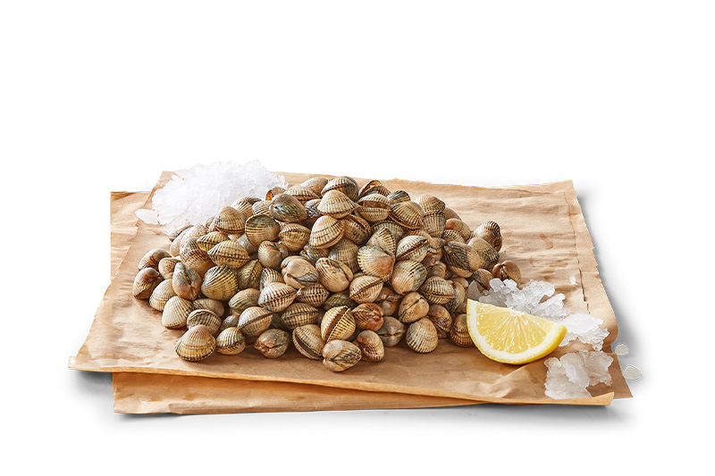 Vongolemuslinger, Vongolemuslinger