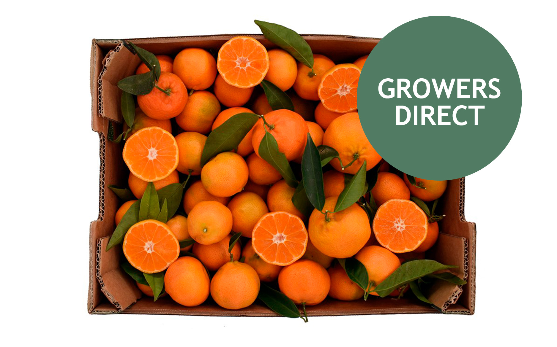 Clementin Kassen 3 kg, Clementin Kassen 3 kg