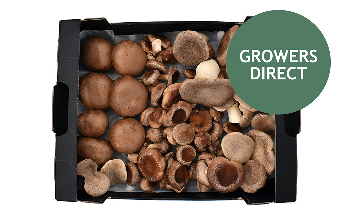 Svampe Kassen 1,2 kg, Svampe Kassen 1,2 kg