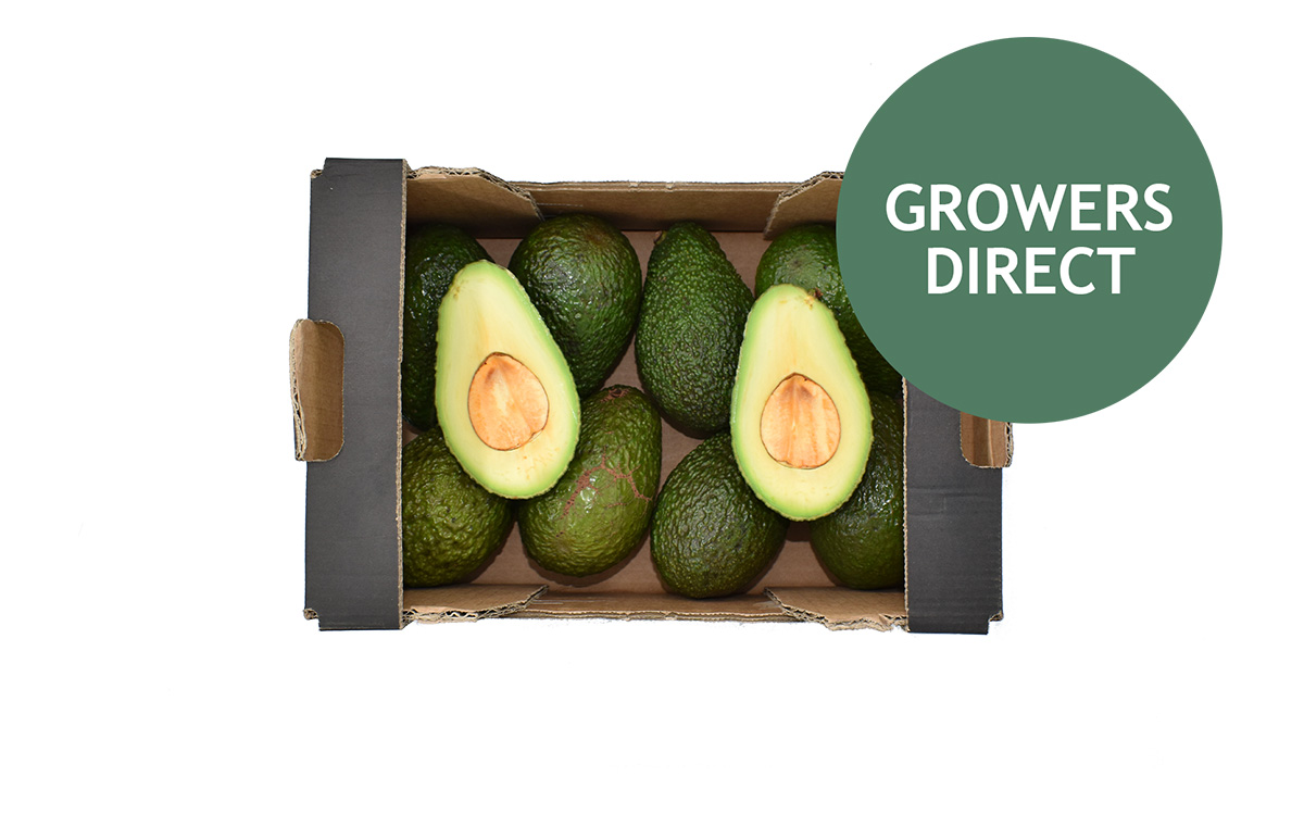 Avokado Kassen 1 kg, Avokado Kassen 1 kg