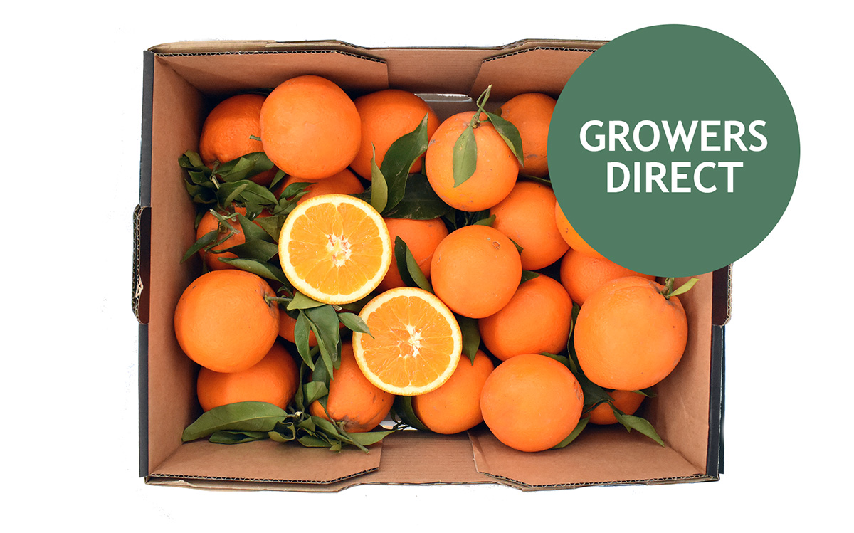 Appelsin Kassen 5 kg, Appelsin Kassen 5 kg