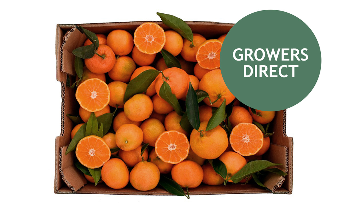 Clementin Kassen 6 kg, Clementin Kassen 6 kg