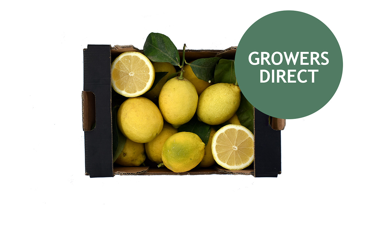 Citron Kassen 3 kg, Citron Kassen 3 kg