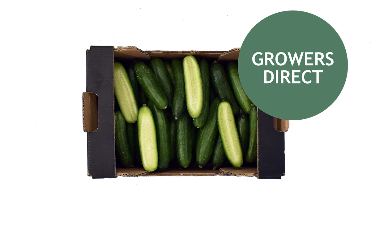 Snack agurk Kassen 2 kg, Snack agurk Kassen 2 kg