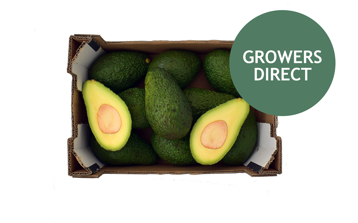 Avokado Kassen 2 kg, Avokado Kassen 2 kg