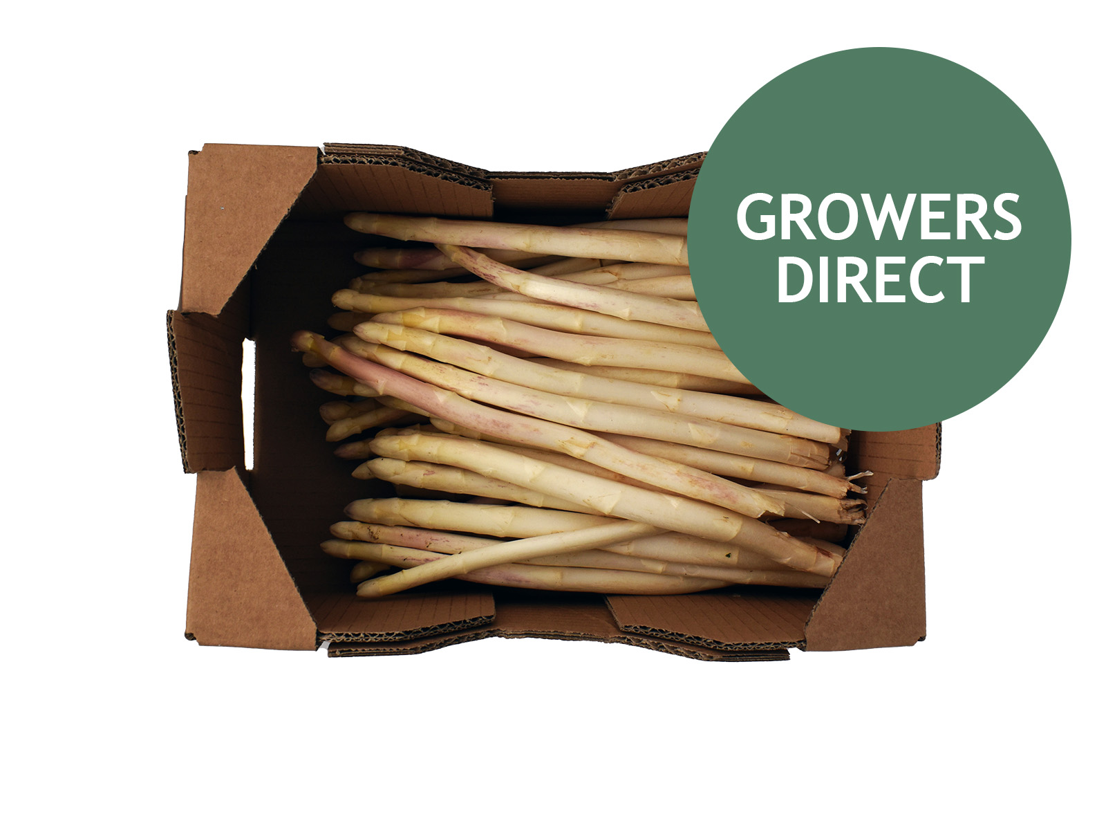 Hvide asparges 1 kg, Hvide asparges 1 kg