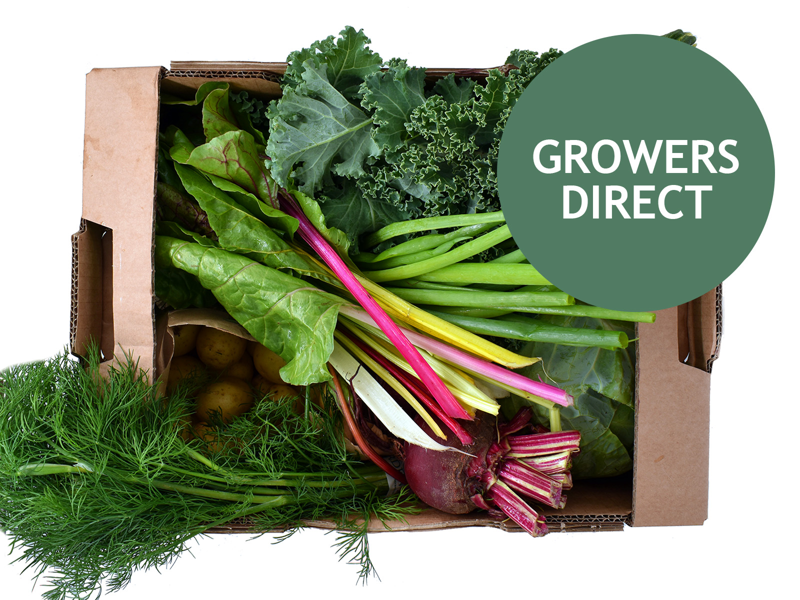 Kisel Kassen 3,5 kg, Kisel Kassen 3,5 kg