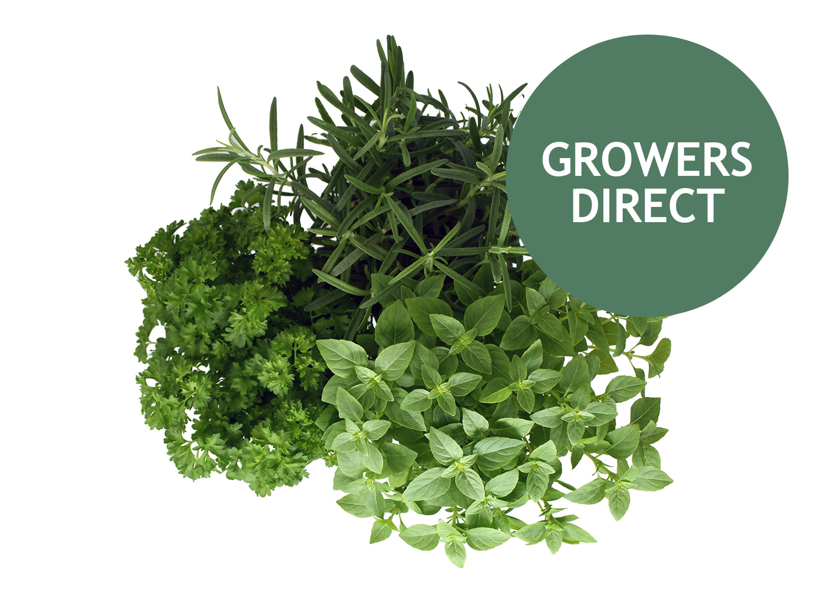 Krydderurte Kassen 3 potter, Krydderurte Kassen 3 potter