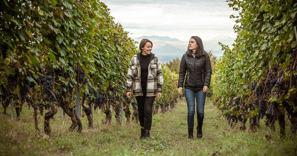 Brandini Arneis, Le Margherite, IT, 2024, Brandini Arneis, Le Margherite, IT, 2024