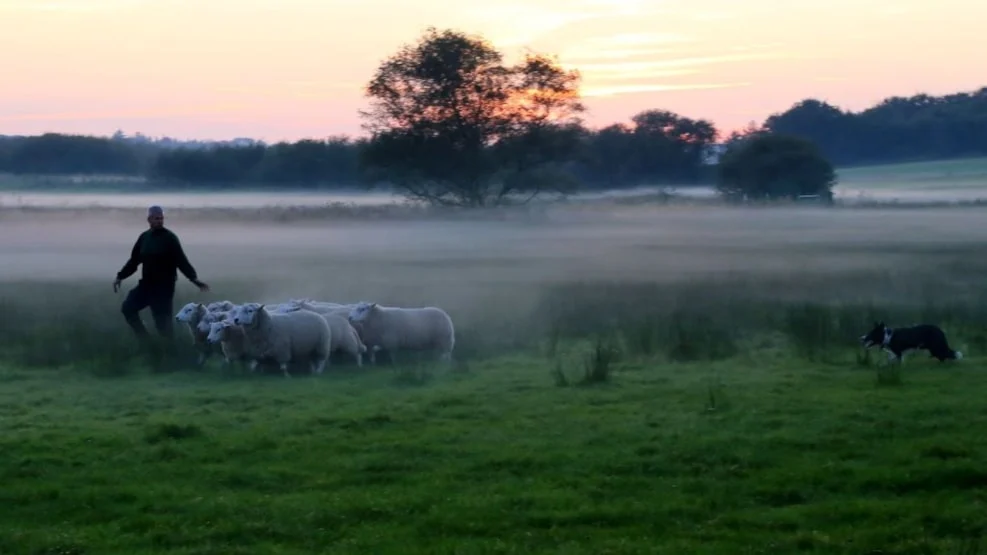 PåskeKassen med lammekølle, PåskeKassen med lammekølle