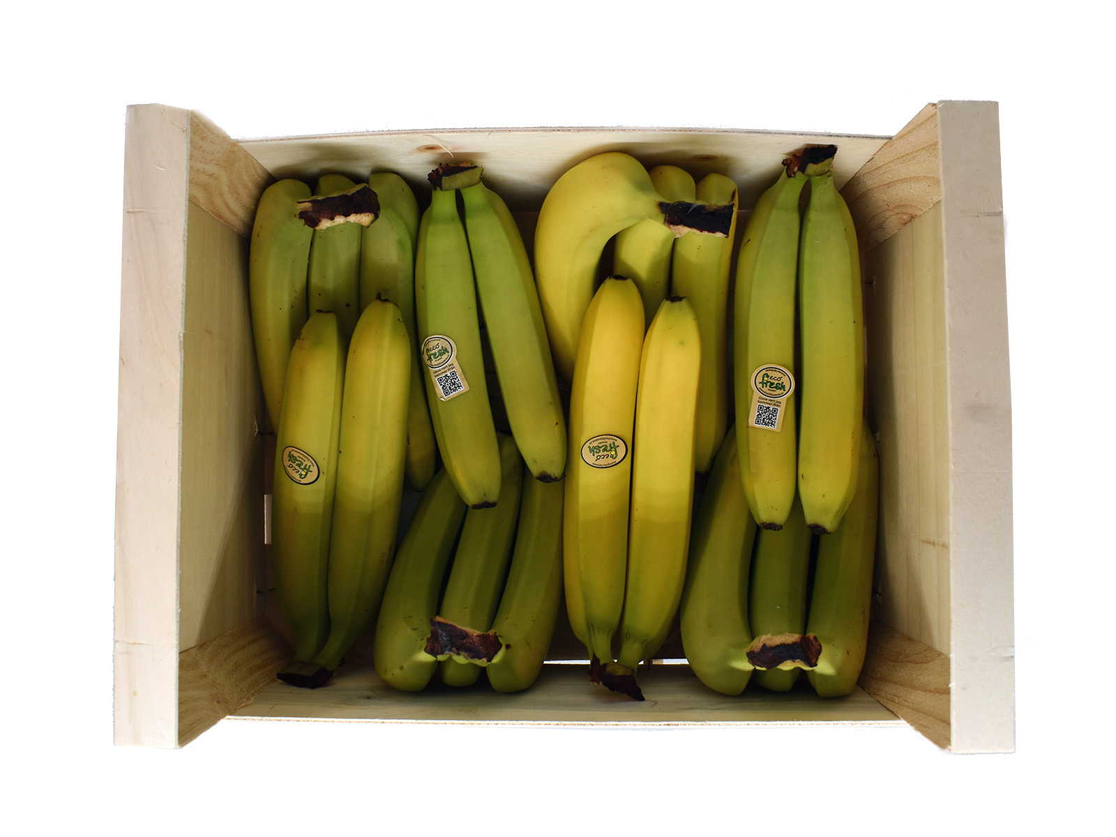 Banan Kassen, Banan Kassen