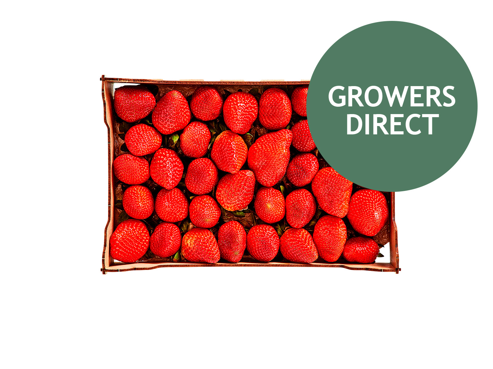 Jordbær kassen 1 kg, Jordbær kassen 1 kg