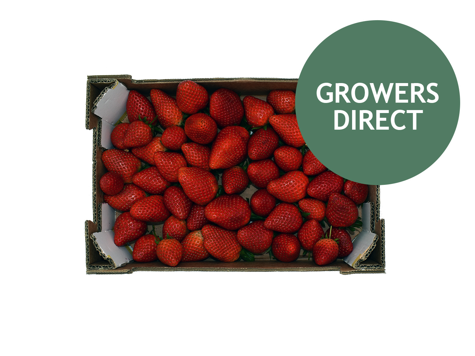 Jordbær kassen 1 kg, Jordbær kassen 1 kg