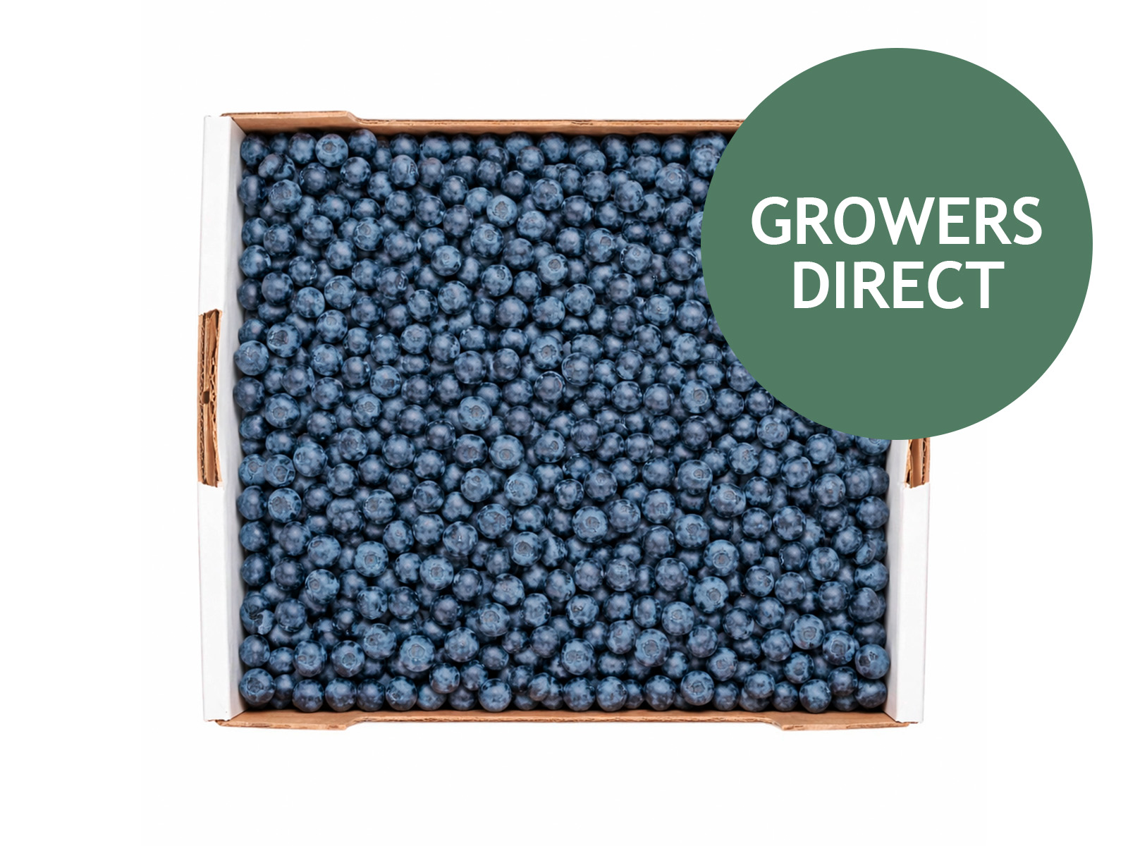 Blåbær kassen 1 kg, Blåbær kassen 1 kg