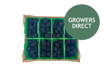 Brombær kassen 1 kg, Brombær kassen 1 kg