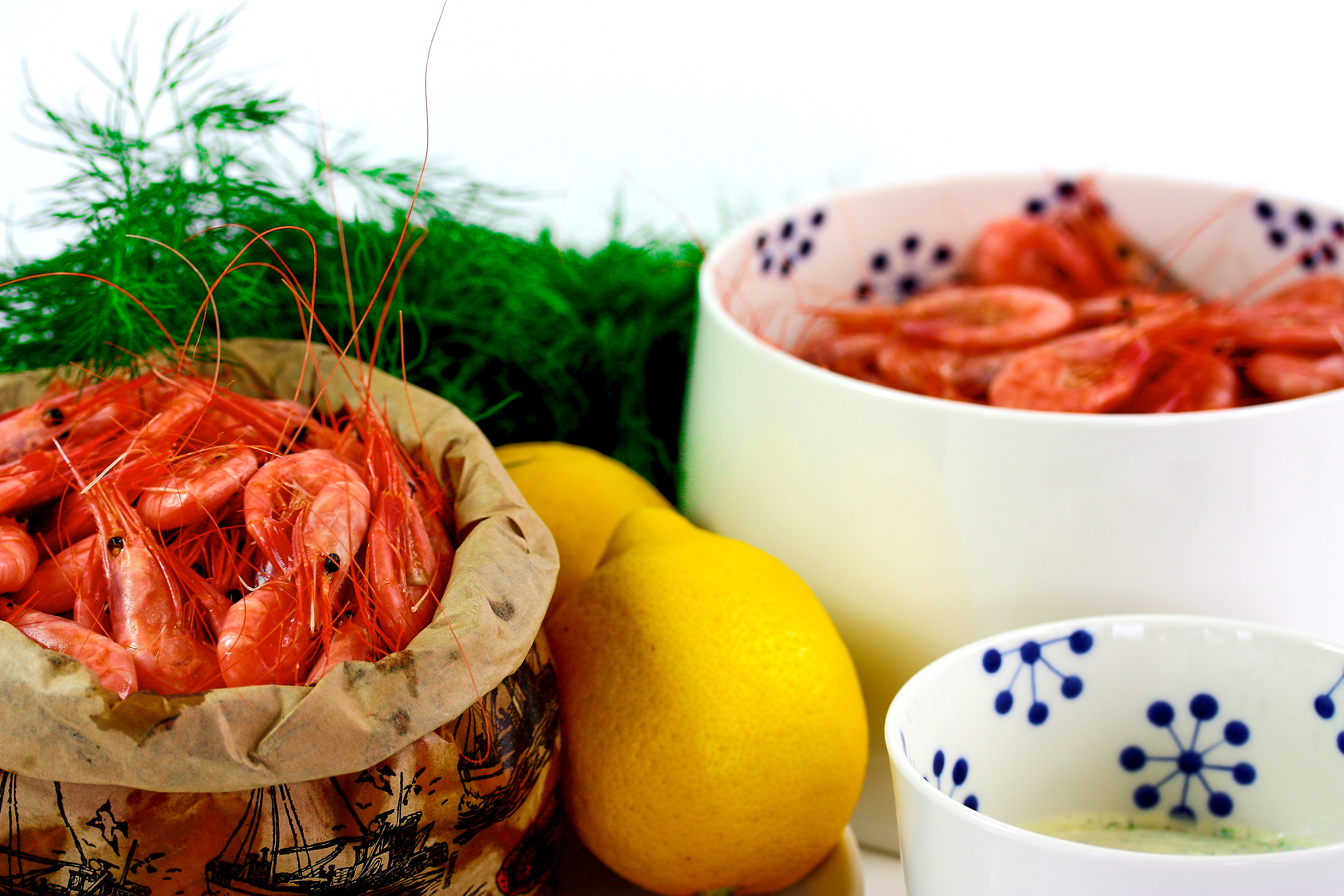 Søkogte Skagen rejer, Søkogte Skagen rejer