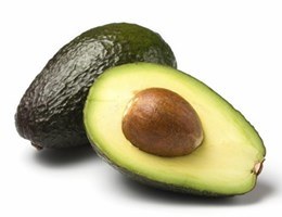 Avokado, Avokado