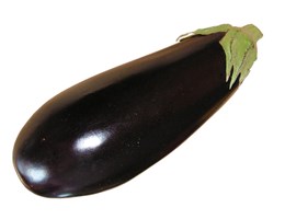 Aubergine, Aubergine